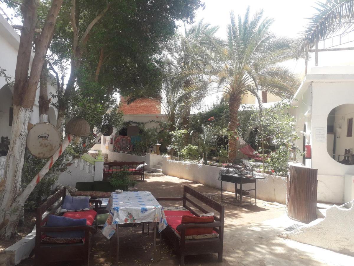 Fighting Kangaroo Camp Otel Dahab Dış mekan fotoğraf