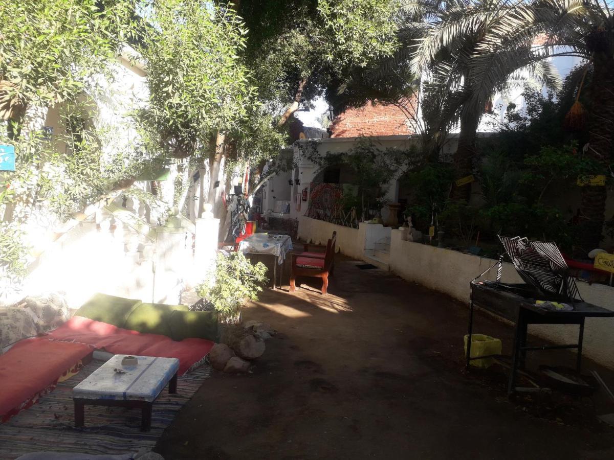 Fighting Kangaroo Camp Otel Dahab Dış mekan fotoğraf