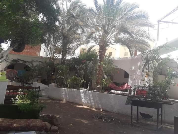 Fighting Kangaroo Camp Otel Dahab Dış mekan fotoğraf