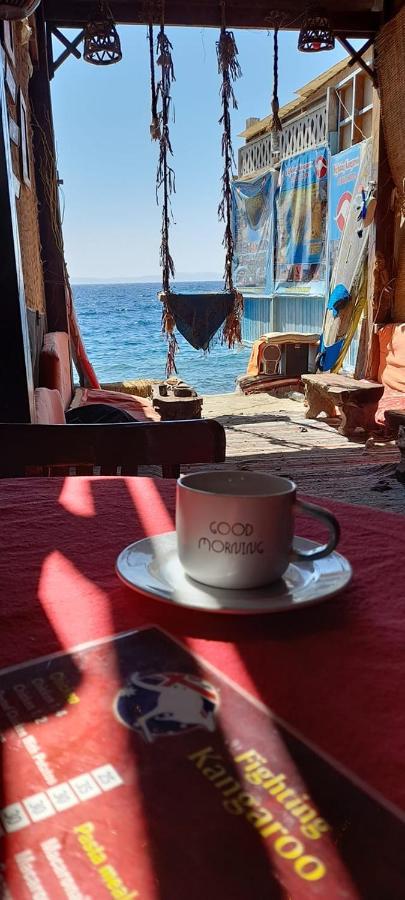 Fighting Kangaroo Camp Otel Dahab Dış mekan fotoğraf