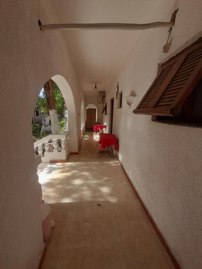 Fighting Kangaroo Camp Otel Dahab Dış mekan fotoğraf