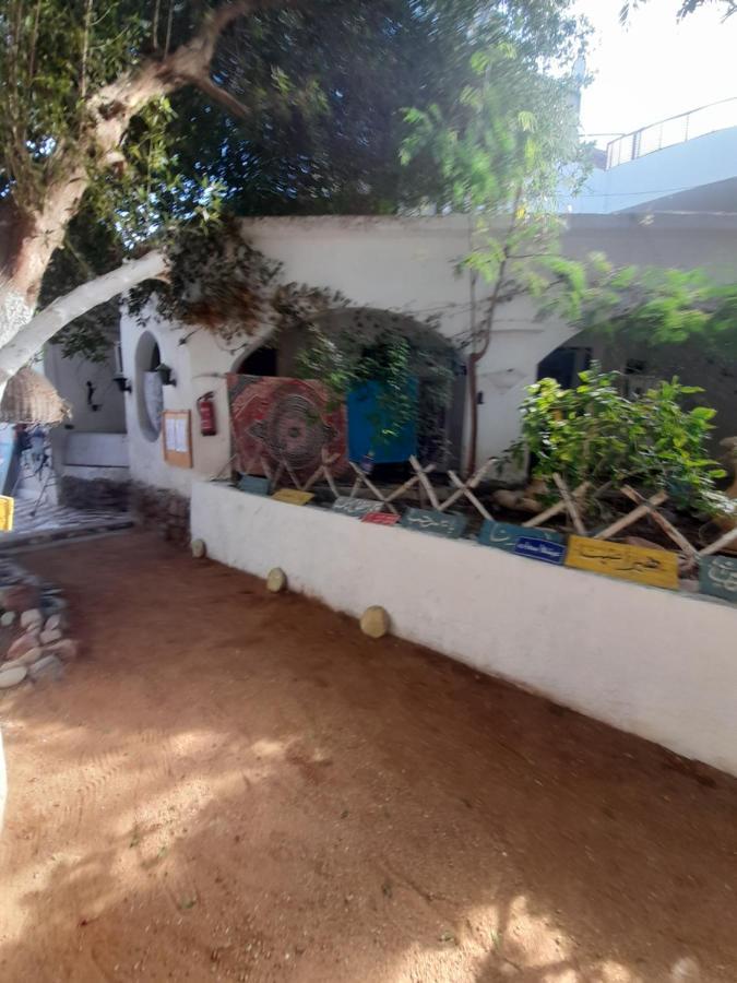 Fighting Kangaroo Camp Otel Dahab Dış mekan fotoğraf
