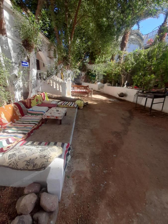 Fighting Kangaroo Camp Otel Dahab Dış mekan fotoğraf