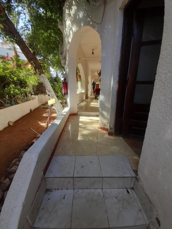 Fighting Kangaroo Camp Otel Dahab Dış mekan fotoğraf