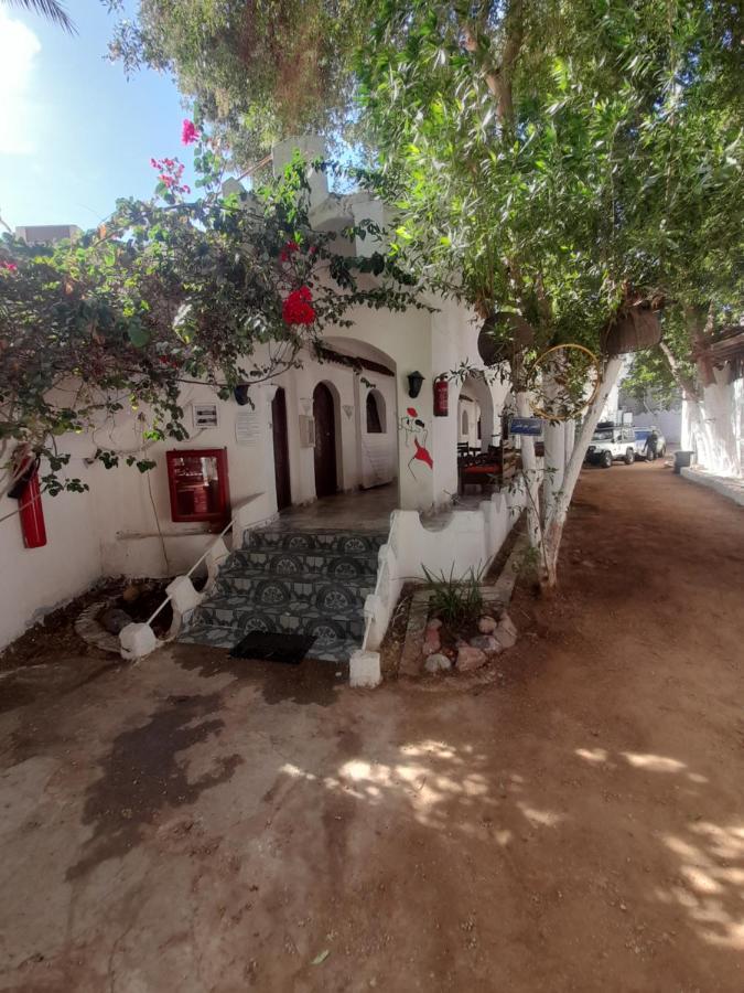 Fighting Kangaroo Camp Otel Dahab Dış mekan fotoğraf