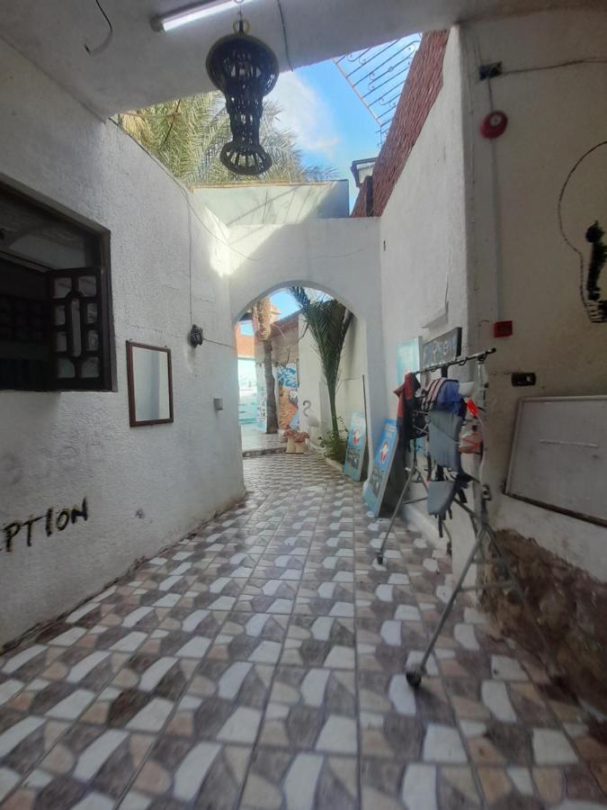 Fighting Kangaroo Camp Otel Dahab Dış mekan fotoğraf