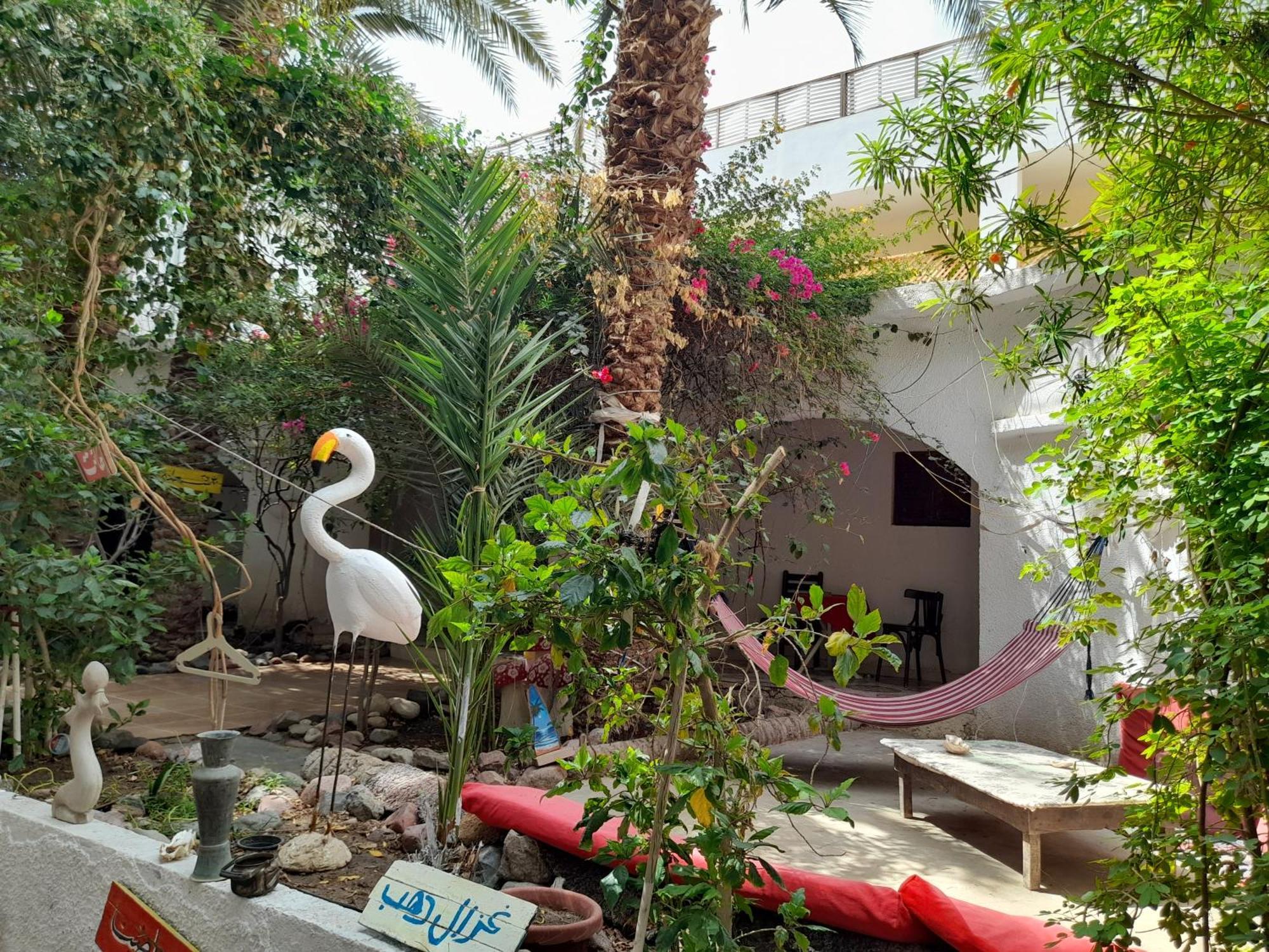 Fighting Kangaroo Camp Otel Dahab Dış mekan fotoğraf